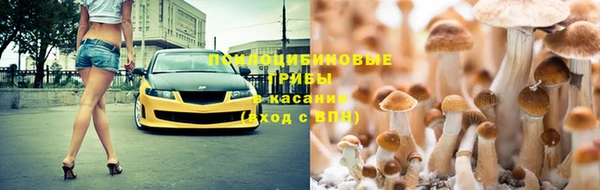 героин Алзамай
