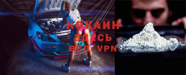 стаф Абинск