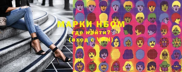 индика Михайловка