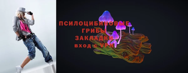 стаф Абинск