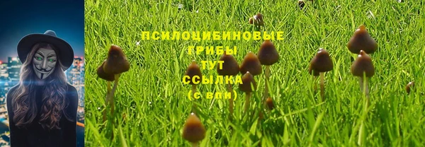 стаф Абинск