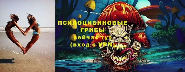 гидра Алексин