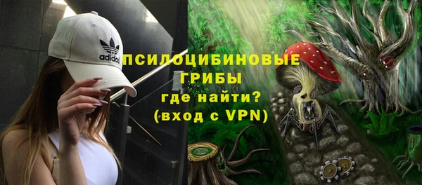 стаф Абинск