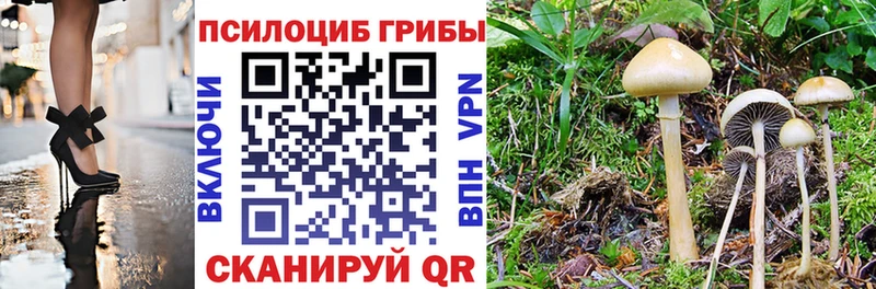 Псилоцибиновые грибы MAGIC MUSHROOMS Шарья